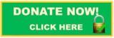 donate now logogreenSMALL